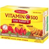 The Terezia Company Vitamine C trio natur+ 60 gélules