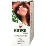 Naturvita Biosil Plus 60 comprimidos