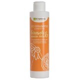 LaSaponaria Champú Ecológico Girasol y Naranja Dulce 200 ml