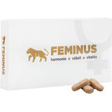 Feminus 60 comprimidos