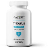 Aliver Nutraceutics Extracto de Tribulus Terrestris 90% 120 cápsulas