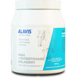 Alavis MSM + COLAGENOS PATENTADOS para caballos 600 g