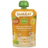 Smileat Organic almond, apple, pineapple, mango and banana milk pouch 9M+ 100 g