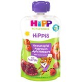 HiPP Bio HiPP BIO Hippis 100% fruit Appel-Malina-Granaat-Acerola 100 g