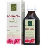 Hanus Echinacea (alkoholischer Auszug) 100 ml