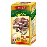 Terezia Oyster mushroom 60 capsules