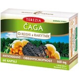 Terezia Chaga + reishi y espino amarillo 60 cápsulas