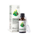 Adaptogene - Auszüge aus Bacopa, Centella, Ashwagandha und Weihrauch (50 ml) Aura Herbals