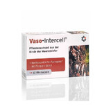 Vaso-Intercell Pycnogenol 75% 60 cápsulas, Intercell