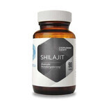 SHILAJIT - Mumio - fulvic acid extract (90 capsules) Hepatica