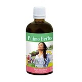 Pulmo Herbs - Bronchien Nebenhöhlen Lunge 100 ml Inwent Herbs