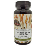 Cordyceps china 50g Artisanal Sea Buckthorn and friends