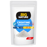 Creatina monohidrato 250 g Big Nature