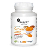 Curcumina 3 PLUS Curcuma longa 500 mg Piperina 1 mg 60 cápsulas Aliness