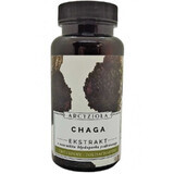 Chaga 50g Archangelis Roxanthus y amigos