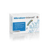 Microbiome 90 Kapseln Intercell Probiotic natürlich 33 Intercell-Stämme