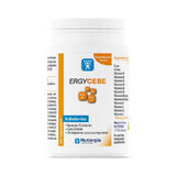 Ergycebe Multivitamin Nutergia (sinergia de 12 vitaminas, zinc y cromo) 90 cápsulas