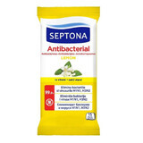 Antibacterial Lemon Wet Wipes 15 pieces, 15 pieces, Septona