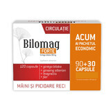 Bilomag Circulación Fuerte, 120 cápsulas, Zdrovit