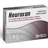 NEUROXAN - FG Pharma 1×45 cps