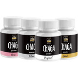 Royal Chaga Siberian Chaga Extracto en Polvo 1×90g, complemento alimenticio