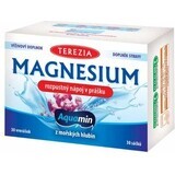 TEREZIA MAGNESIUM oplosbaar drinkpoeder 30×6 g, voedingssupplement