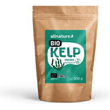 Allnature Kelp orgánico en polvo 100g 1×100g