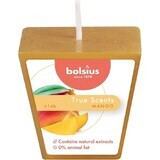 Bolsius Aromatic 2.0 Votive Mango, vela perfumada 1×1 ud, tamaño 48 mm