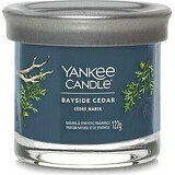 Yankee Candle Signature vela pequeña Bayside Cedar 1×122 g Bayside Cedar 1×122 g, vela perfumada