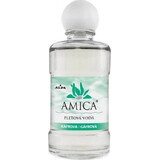 AMICA GAFRRA LOTION 1×60 ml, loción