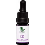 CANNABIOpharm CBD 20% 1×10 ml