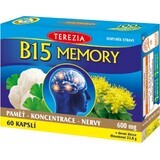 TEREZIA B15 MEMORIA 1×60 cps, complemento alimenticio