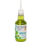 LUNA birch hair water 1×120 g, herbal hair water