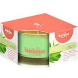 Bolsius Aromatic 2.0 Vela perfumada de vidrio con té verde 1×1 unidad, tamaño 80 x 50 mm