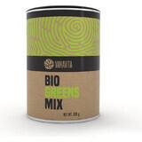 GYMBEAM VANAVITA VANAVITA BIO GREENS MIX 1×300g, mezcla de superalimentos verdes