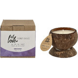 WE LOVE THE PLANET SOY CANDLE KO C.COCO C.COCO 190G 1×190g, soy candle