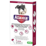 Ataxxa 1250 mg/250 mg (perros de 10 kg a 25 kg) 1×2,5 ml, solución para perros