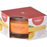 Bolsius Aromatic 2.0 Botella para vela perfumada Mango 1×1 ud., tamaño 80 x 50 mm