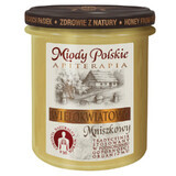 Polish honey, multi-flower dandelion honey, 400 g