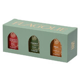 Flagolie Celebrate Christmas Moments set, velas perfumadas de soja, 3 x 70g