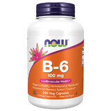 Now Foods B-6, vitamina B6 100 mg, 250 cápsulas