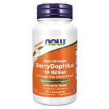 Now Foods Berry Dophilus, 50 comprimidos masticables