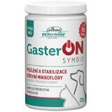 Vitar Veterinae GasterON SYMBIO borcan 28 g