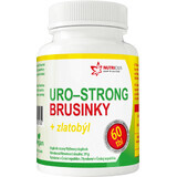 Nutricius Uro-strong Cranberry + Goldrute 60 Tabletten