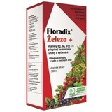 Salus Floradix IJzer - vloeibaar 500 ml