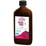 Vitar Veterinae Artivit jarabe 500 ml