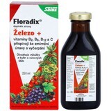 Salus Floradix 250 ml