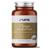 Fungo Chaga 400mg 60 capsule UNS