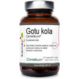 Gotu kola Centellicum (60 Kapseln) Kenay