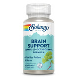 Brain Support, 60 capsule, Secom